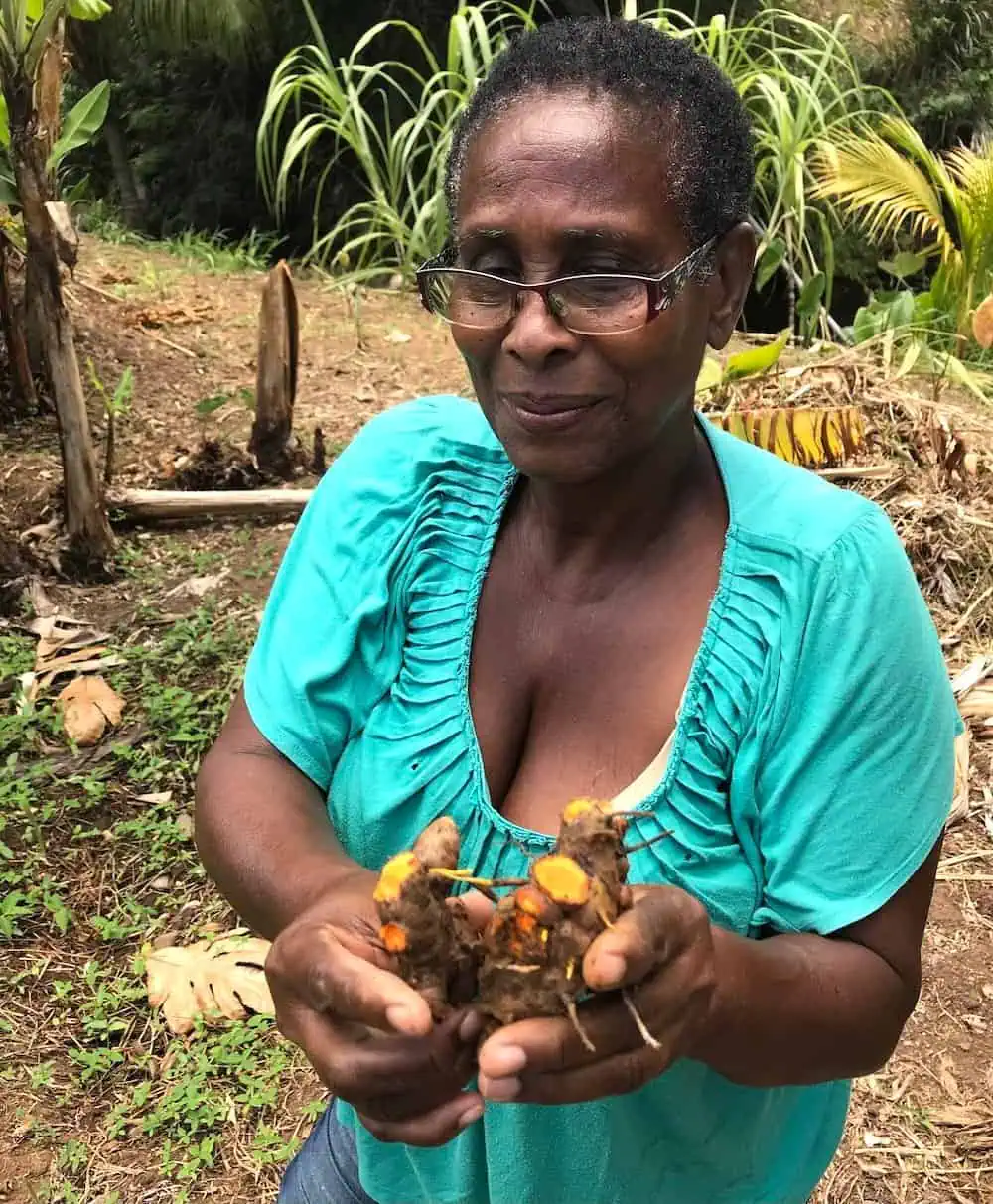 Theresa Marryshow of T's Eco Garden and On Farm Tours in Grenada.  