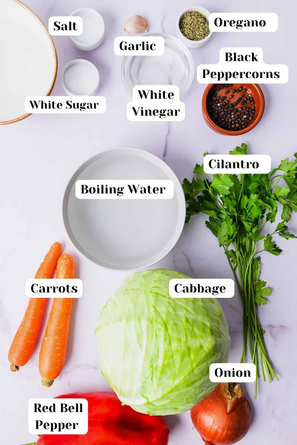 Overhead shot of ingredients for curtido including oregano, black pepper, cilantro, white vinegar, garlic, white sugar, salt, cabbage, boiling water, onion, red bell pepper, carrots.