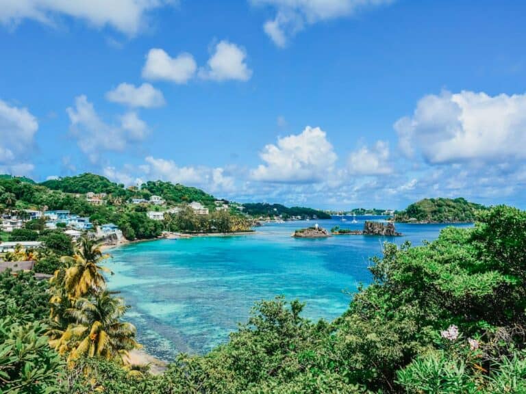 Aerial view of Saint Vincent and the Grenadines.