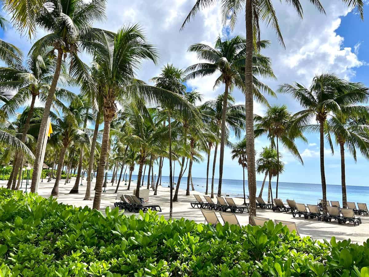 Beach in front of the Barcelo Caribe on a sunny day. 